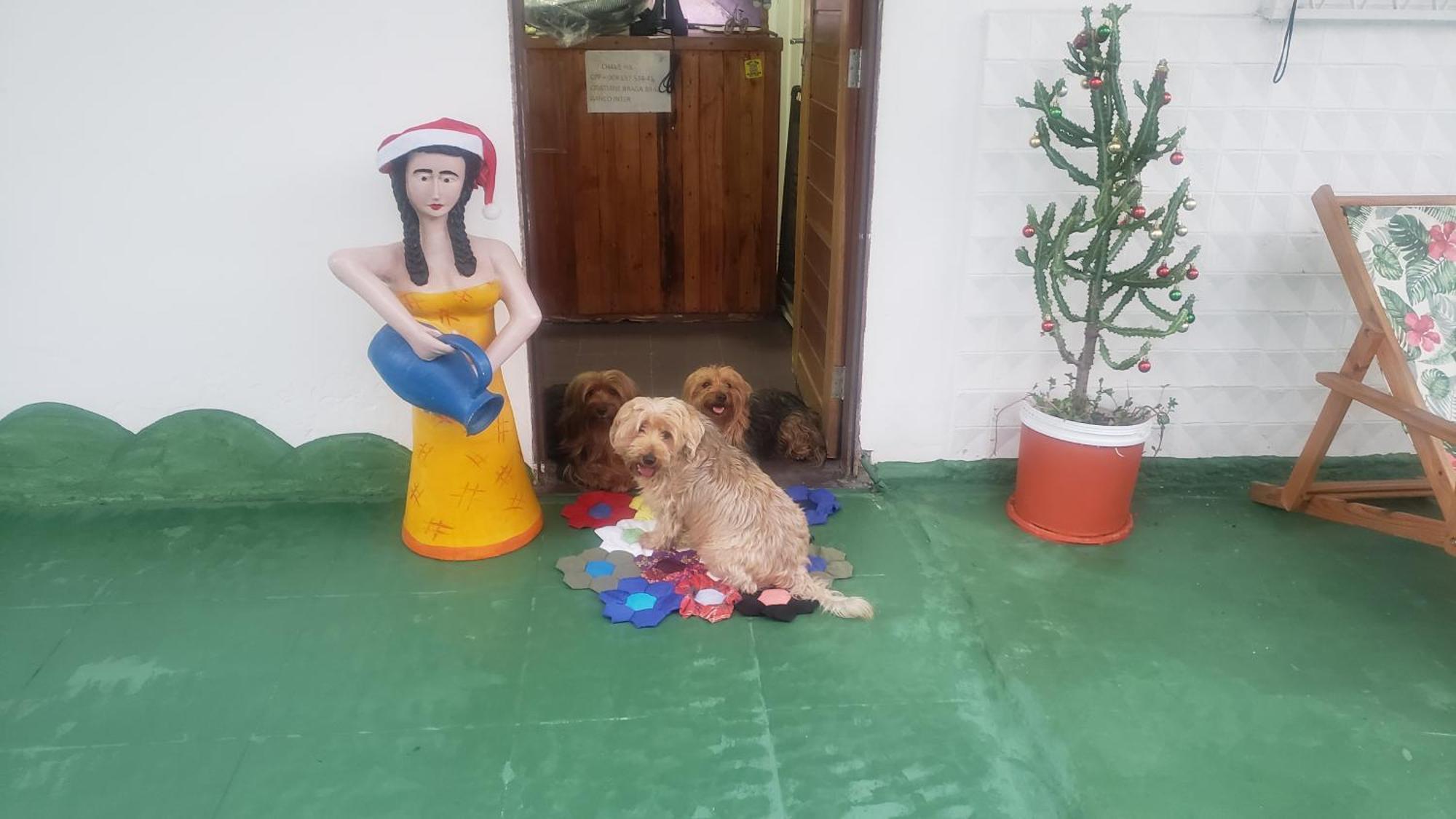 Hostel E Pousada Sol E Mar João Pessoa Eksteriør billede